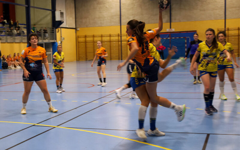SGHBC. Chez les jeunes. Un clap de fin mitigé pour le handball Couserannais.