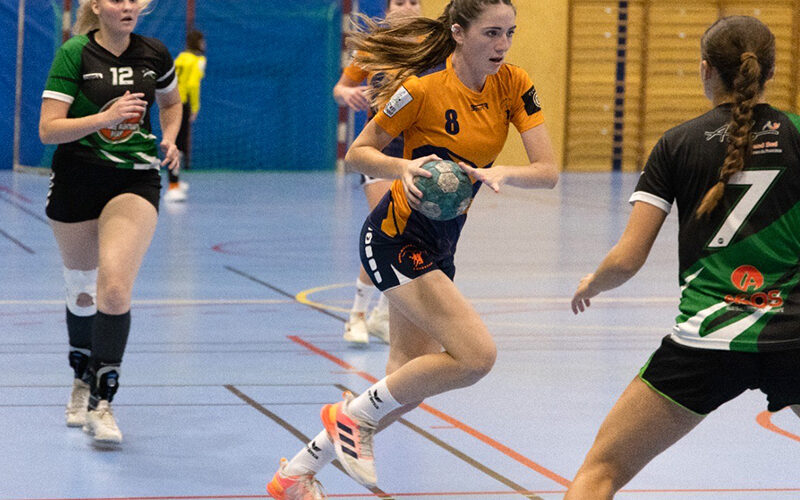 SGHBC. Nationale 3 Féminine. Les Couserannaises vaillantes à Vergeze.